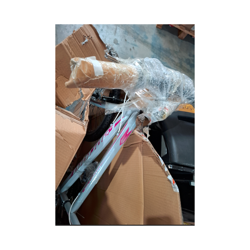 Slika Capriolo bicikl MTB PASSION L 26/18H