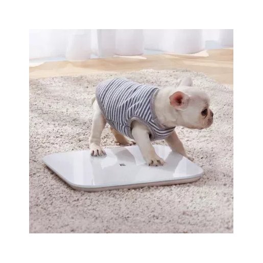 Slika Xiaomi Mi Vaga Smart 2 Bijela